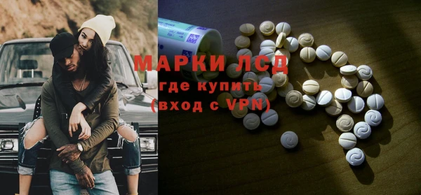 прущие грибы Бородино