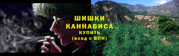 прущие грибы Бородино