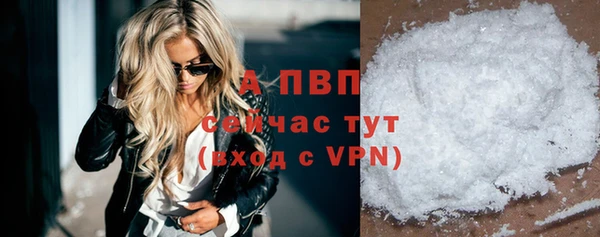 прущие грибы Бородино