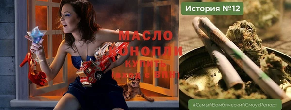 прущие грибы Бородино