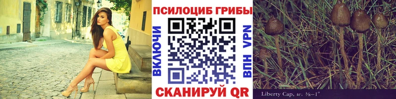 Псилоцибиновые грибы мицелий  Верхний Тагил 